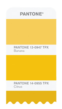 ページイメージ　パントン・ファッション+ホーム・カラーガイド　PANTONE FASHION + HOME color guide