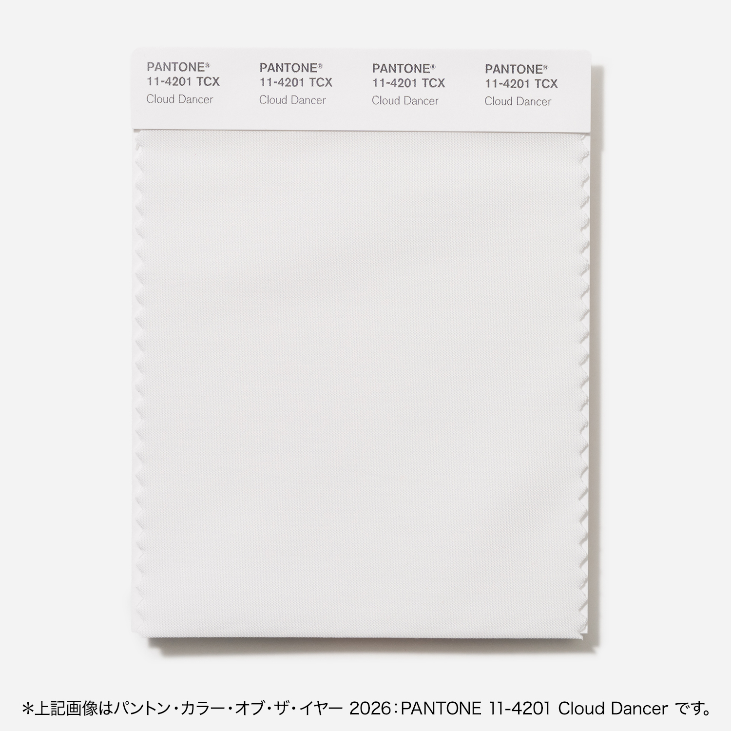 その他 PANTONE for fashion and  COLOR CARD パントン・ファッション、ホーム + インテリア・コットン・スワッチ