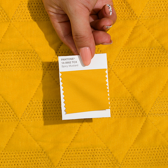 パントン・ファッション、ホーム + インテリア・コットン・スワッチライブラリ　PANTONE Fashion, Home + Interiors Cotton Swatch Library