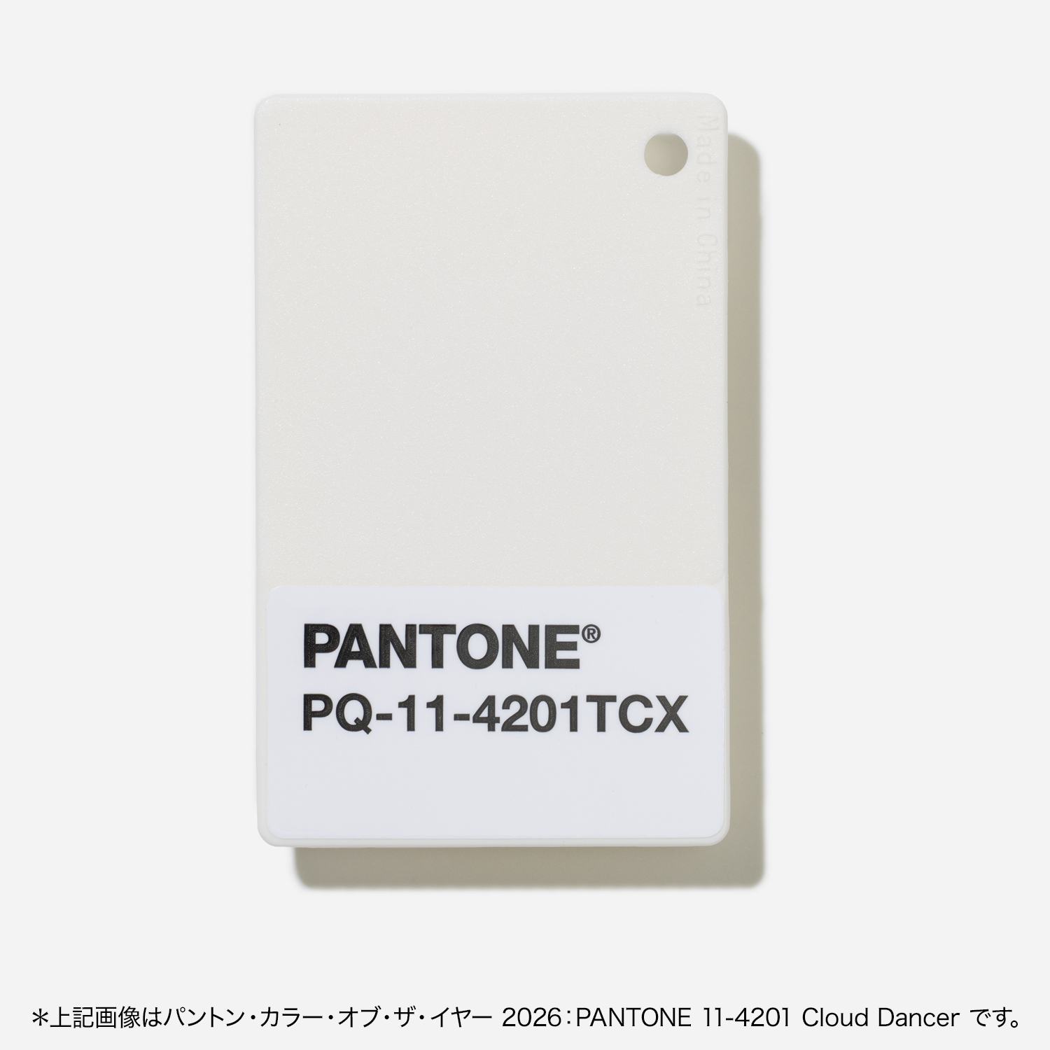 パントン・プラスチック・チップス